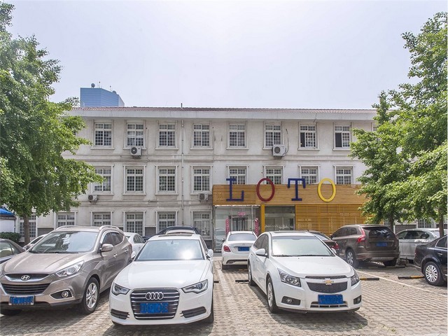 工地农业爬山虎费用是多少